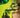ALIVEFORM & Polly Fab: HALS 3D Printing Technology